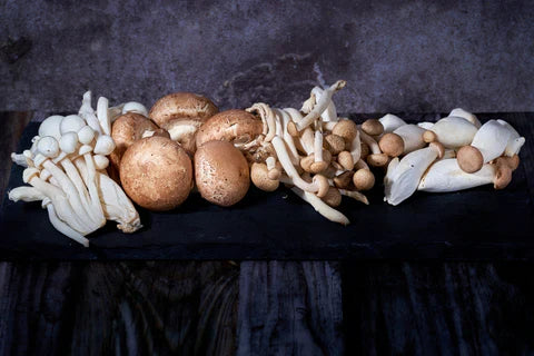 The Healing Power of Mushrooms: Exploring Their Therapeutic Benefits in Beauty