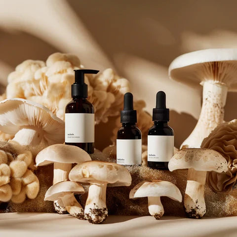 The Rise of Mushrooms: Exploring Their Role in Modern Beauty and Wellness Trends