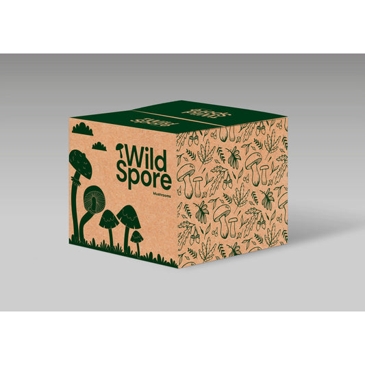 CVG Mushroom Substrate grow kit