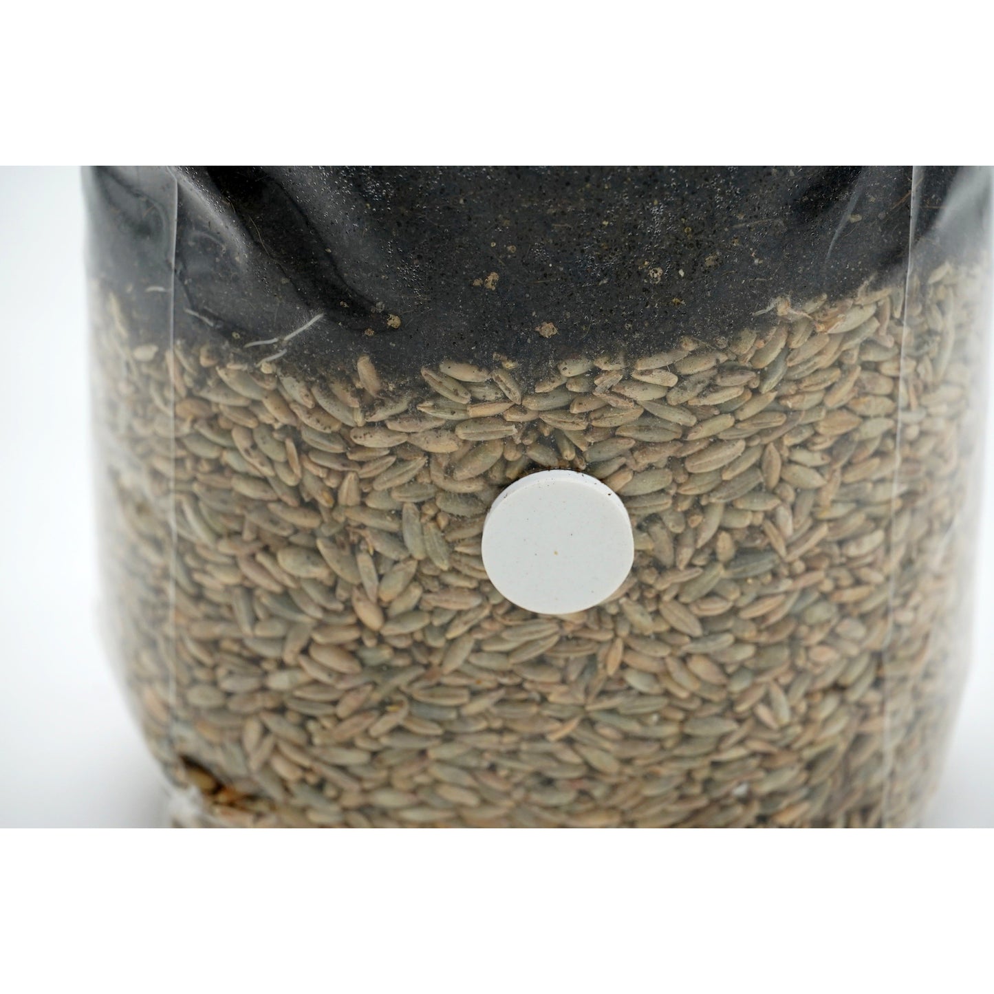 All in one CVG grow bag with injection port