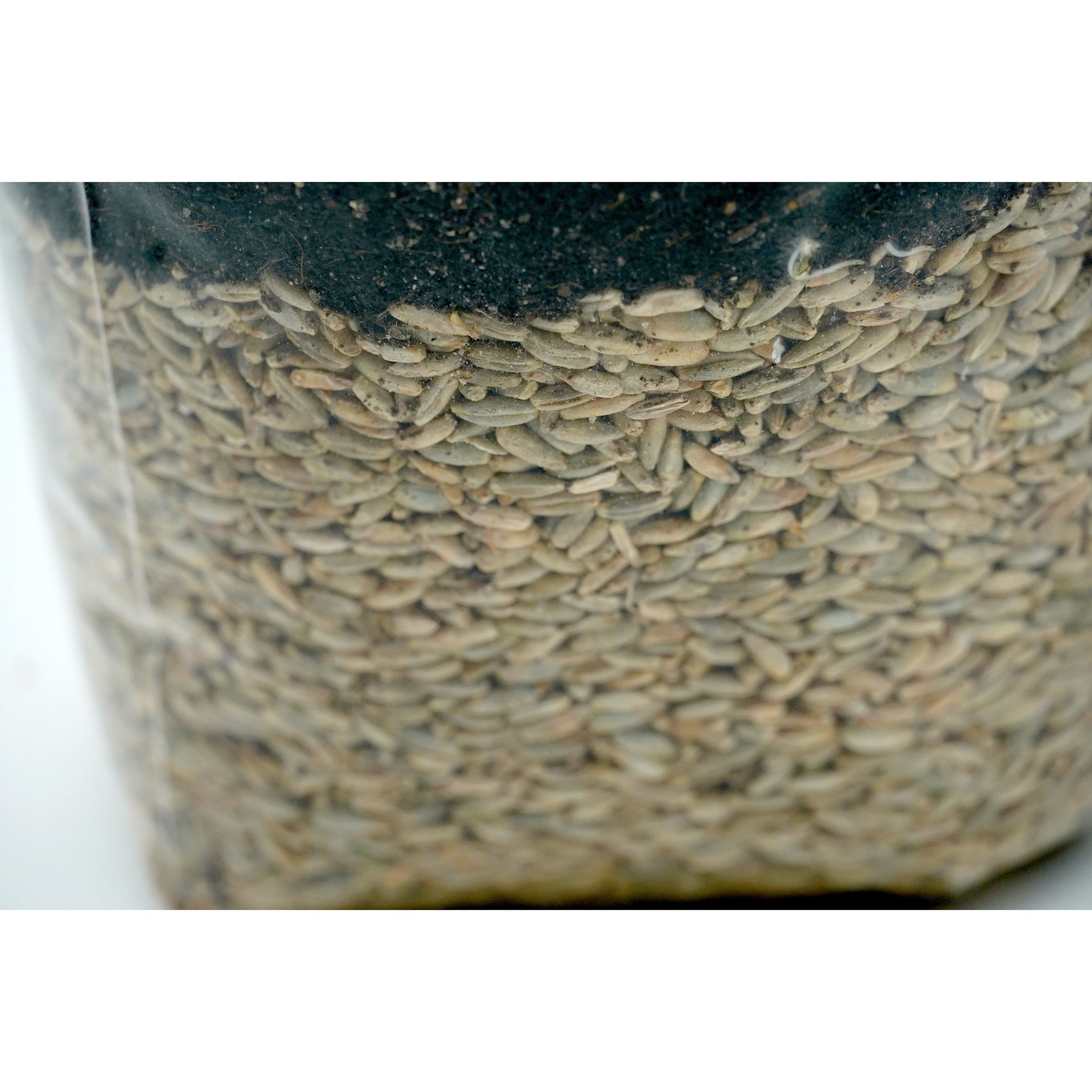 All in one CVG grow bag