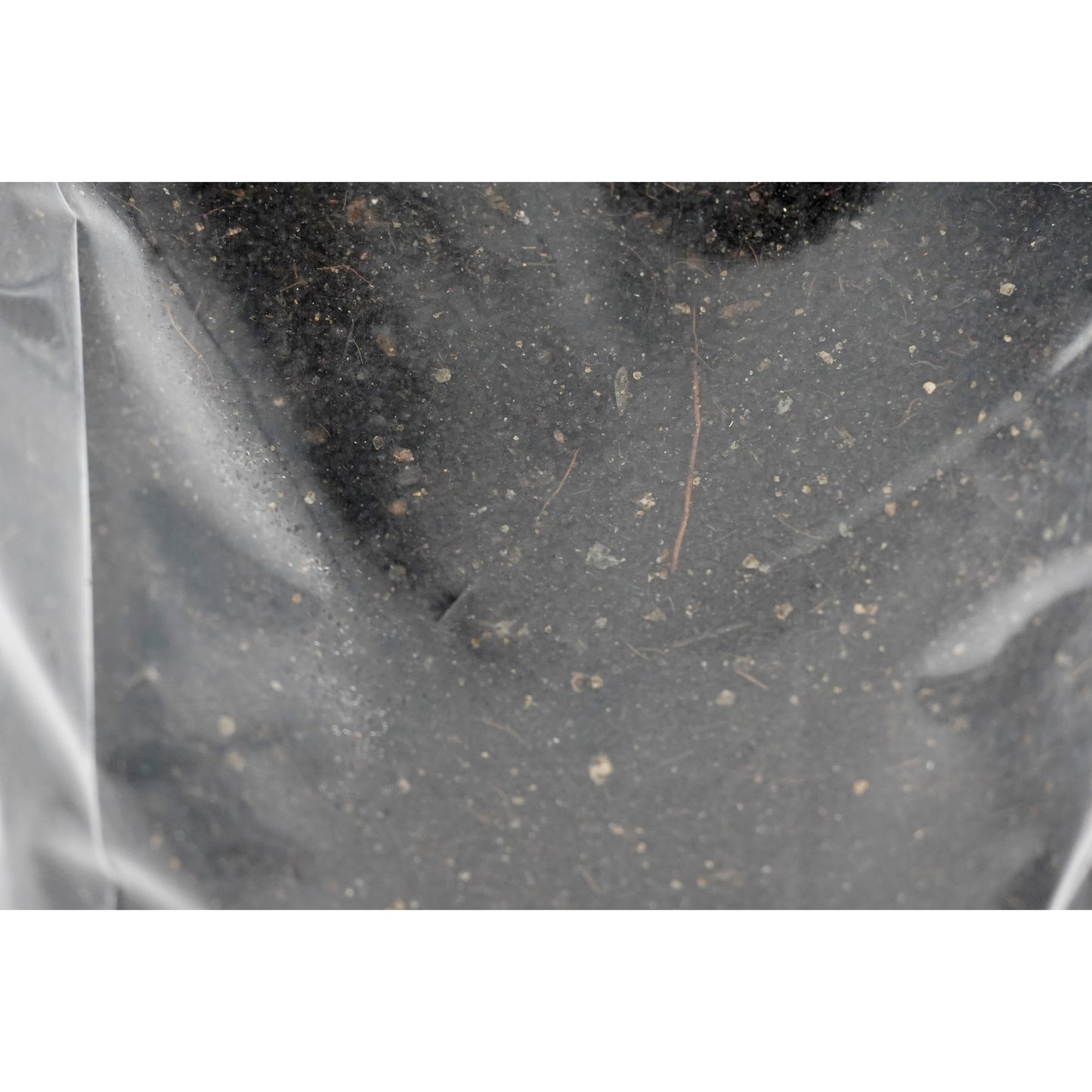 All in one CVG grow bag