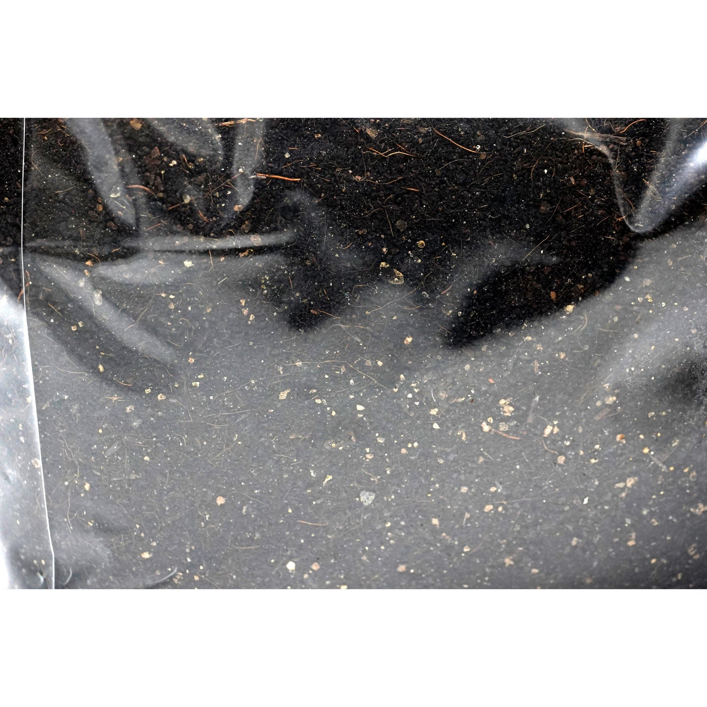 10lb Mushroom Grow Bag