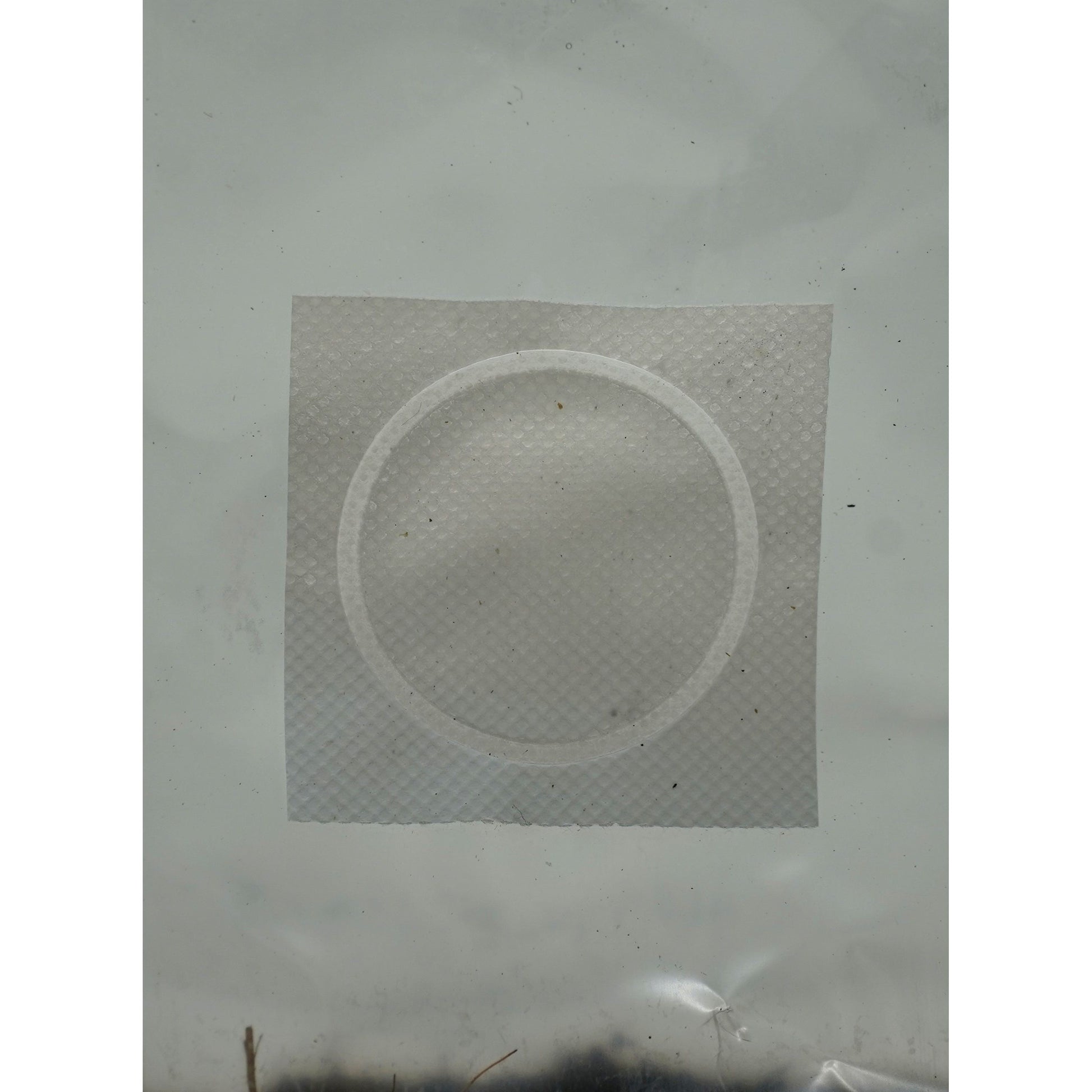 10lb Mushroom Grow Bag barcode