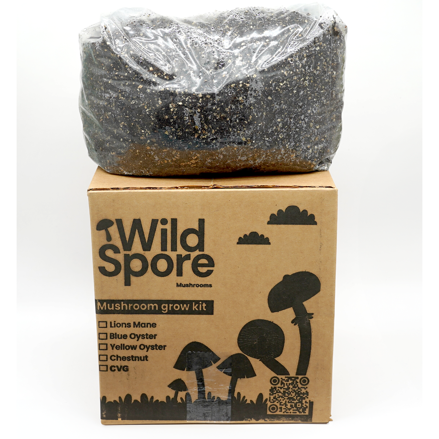 cvg mushroom grow kit