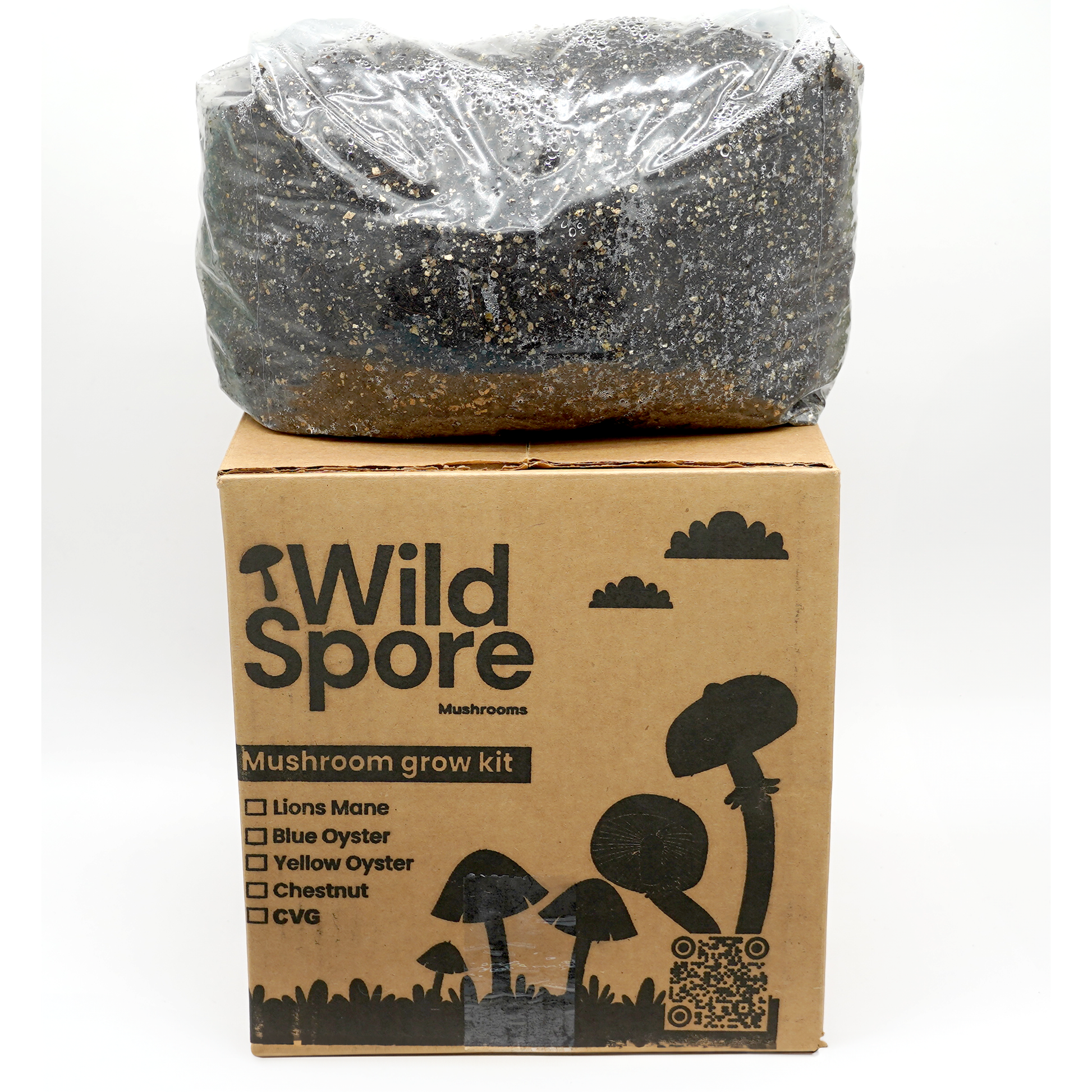 cvg mushroom grow kit