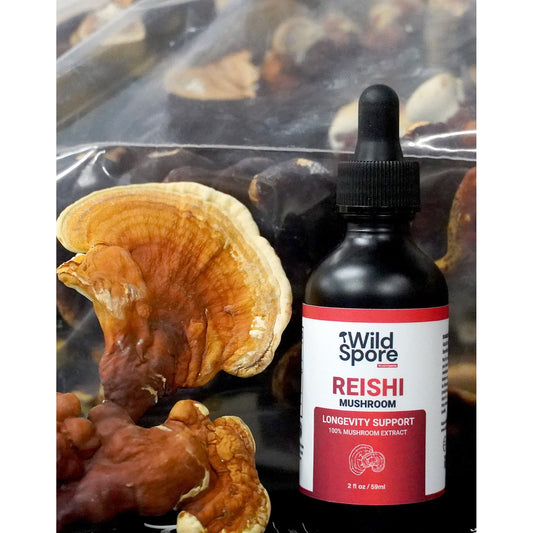 reishi tincture