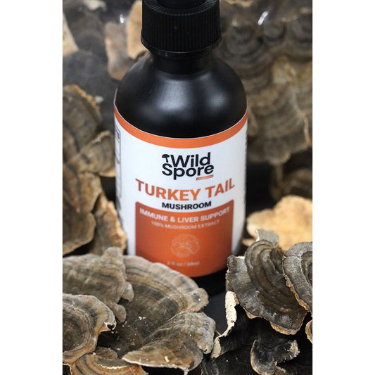 turkey tail tincture