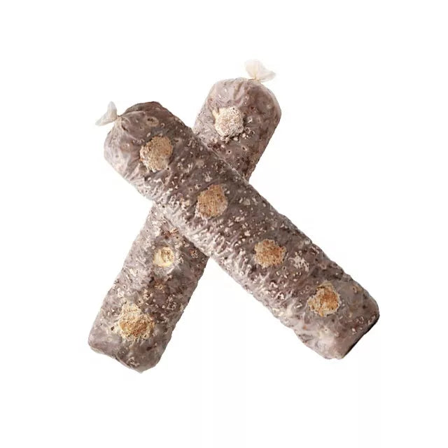 Shiitake Grow Kit