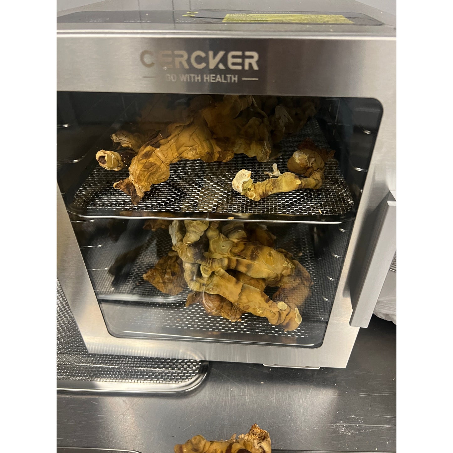 Organic Whole Dried Reishi Mushrooms (Bulk) - Premium Fruiting Bodies - 100% USA Grown in Tennessee
