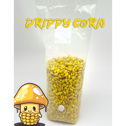 drippy corn