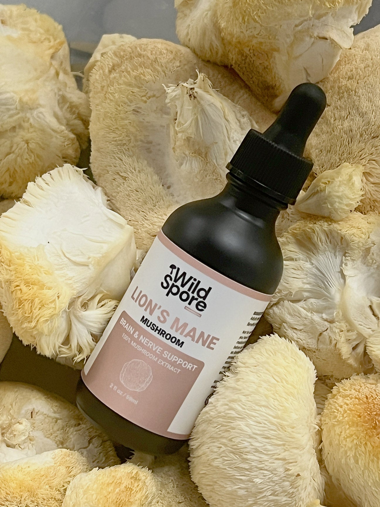 Organic Lions Mane Mushroom Tincture