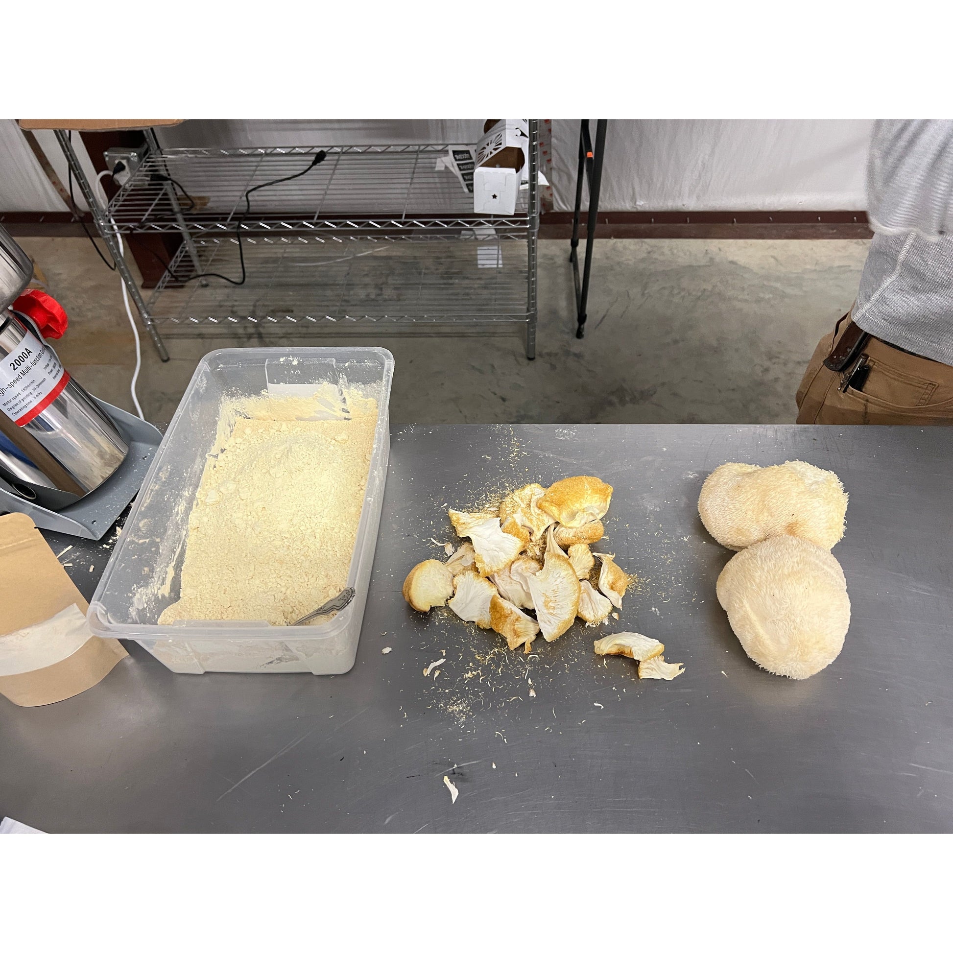 Dried Lion's Mane mushrooms Powder
