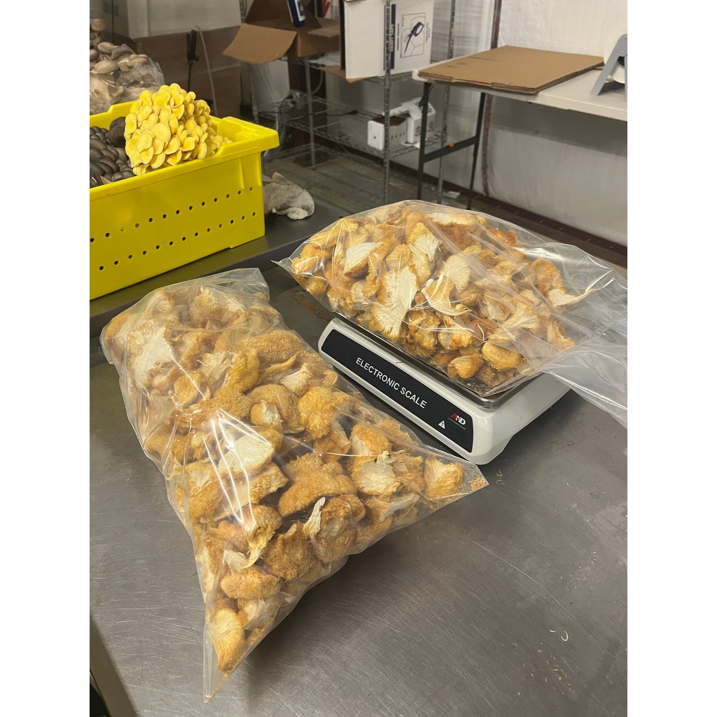 Lion's Mane Mushroom dried in bulk - 100% USA Grown