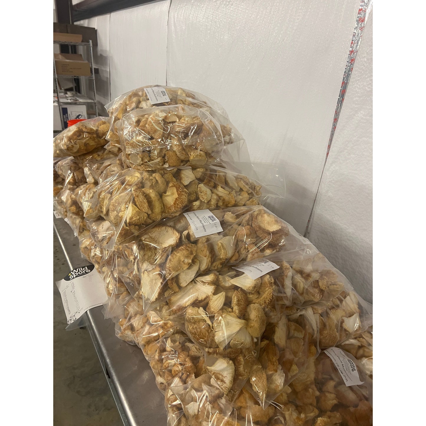 Lion's Mane Mushroom dried in bulk - 100% USA Grown