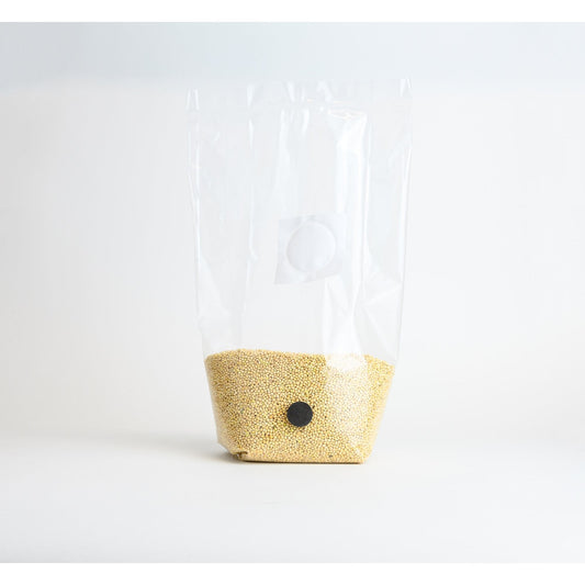 Sterilized Millet Grain Bag with Injection Port