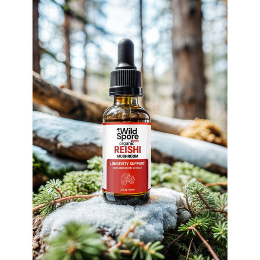 Organic Reishi Mushroom Tincture