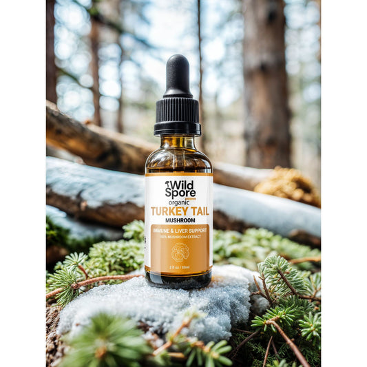Organic Turkey Tail Mushroom Tincture