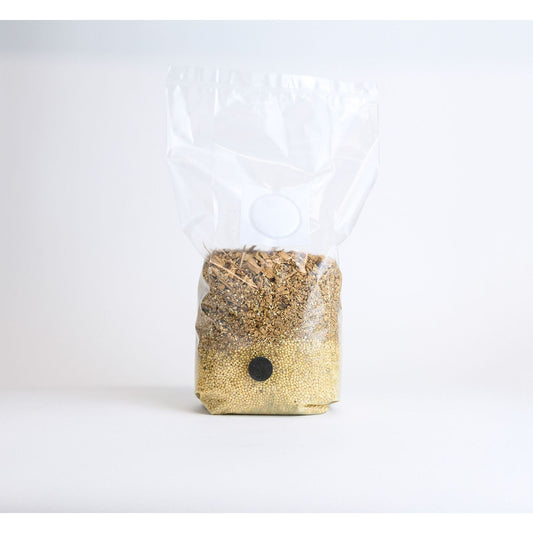 All-in-one Mushroom Grow Bag