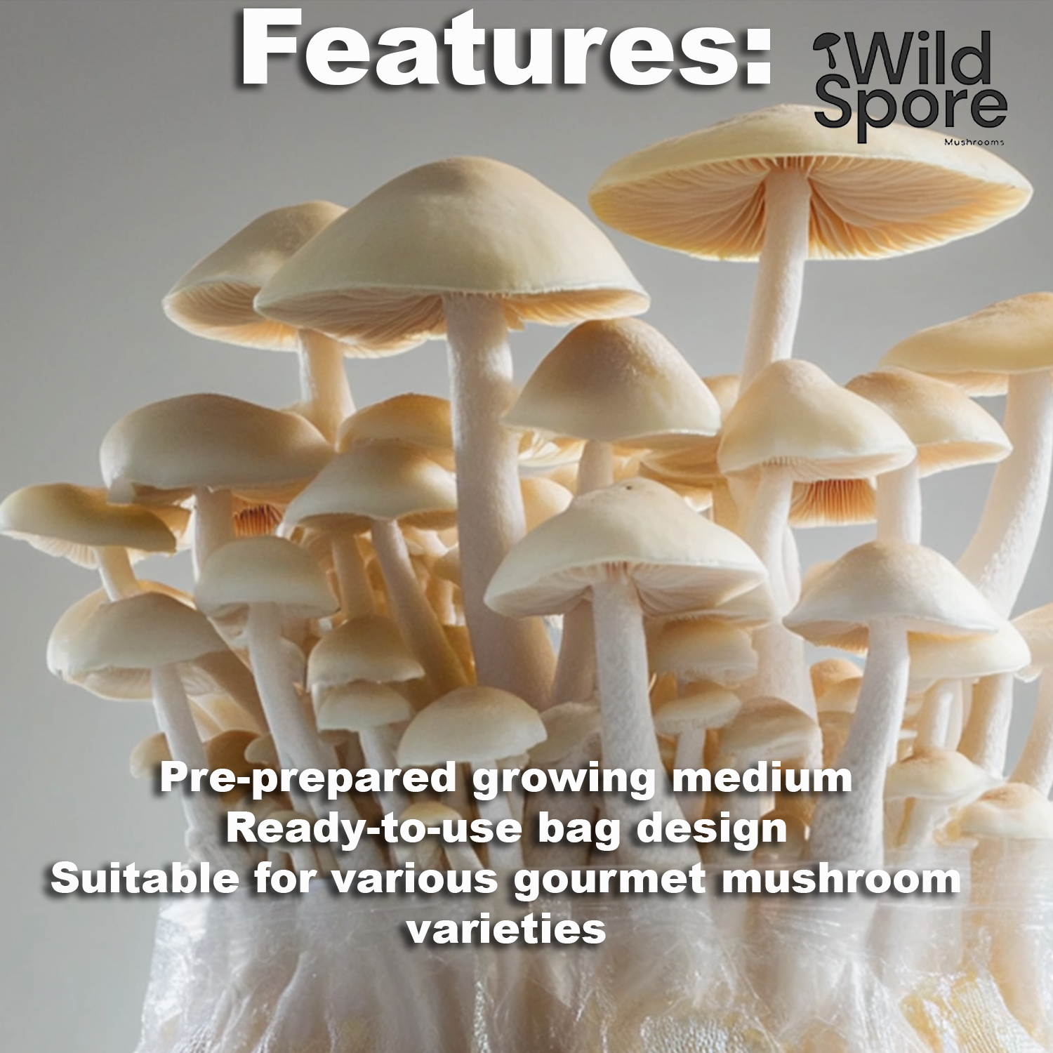 Mushroom grow kit Features