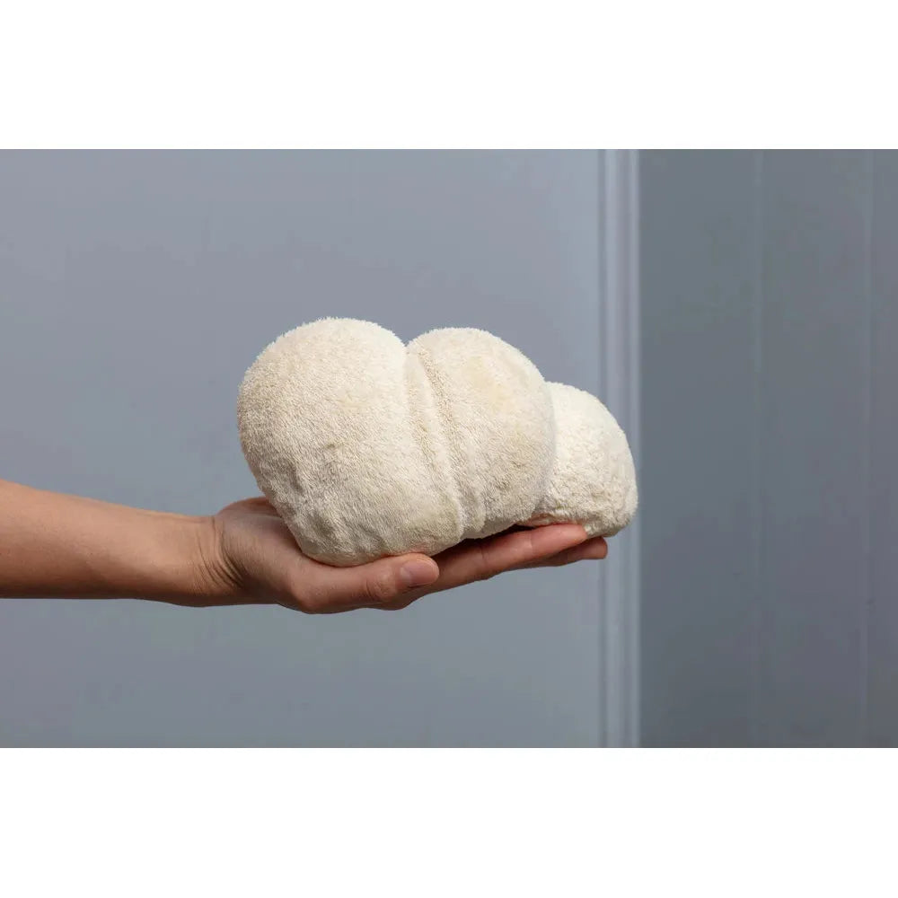 lions mane grow kit