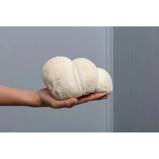 lions mane grow kit