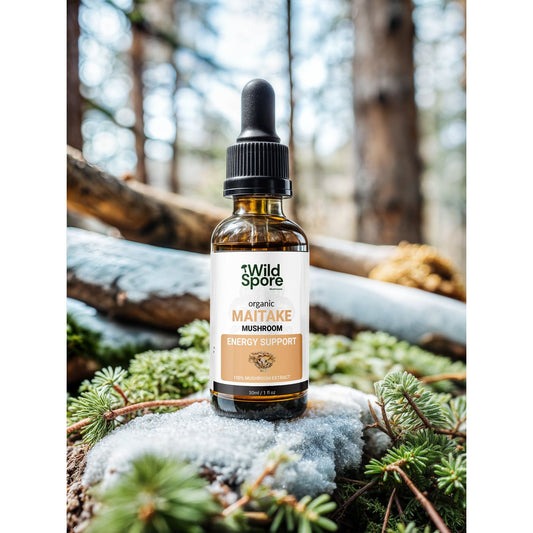 Organic Maitake Mushroom Tincture