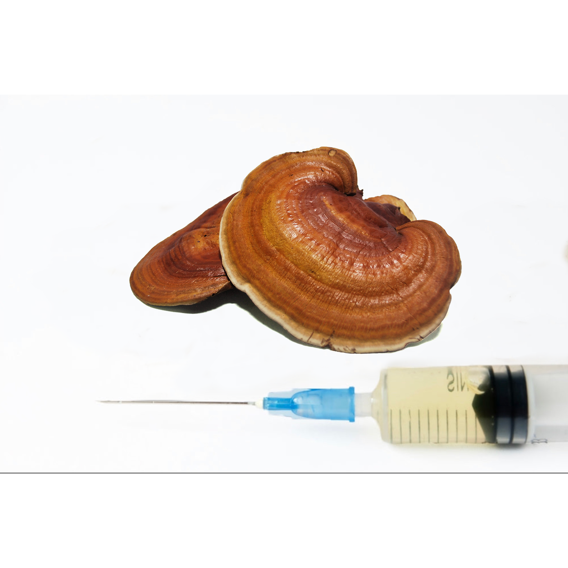 reishi mushroom LC