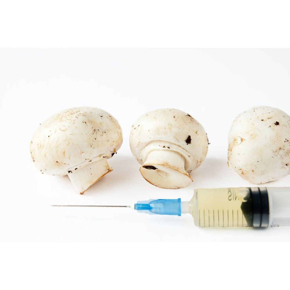 Liquid Culture Syringe - Lion's Mane