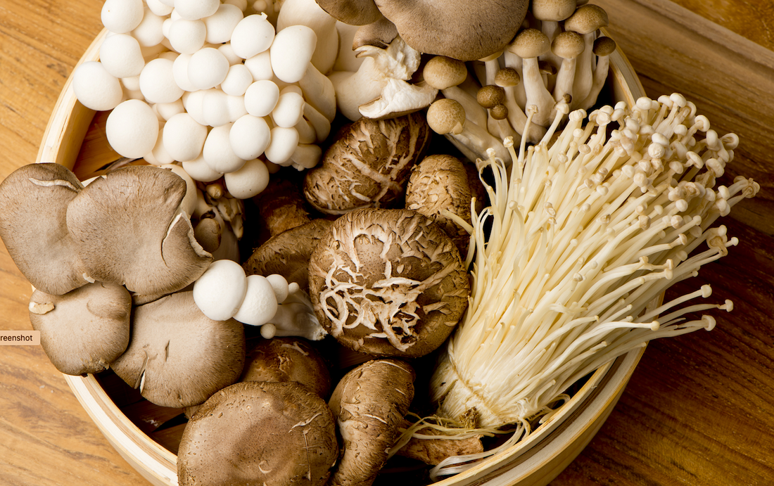 Harnessing Nature's Power: How Mushrooms Can Fortify Your Immune Defenses