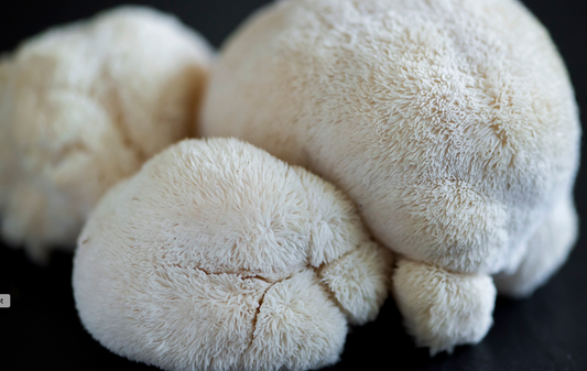 How Lion's Mane Mushroom Can Help You Shed Extra Pounds