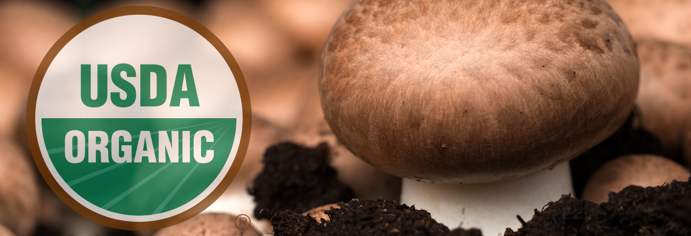 Understanding USDA Organic Certification: why it matters - Wildspore ...