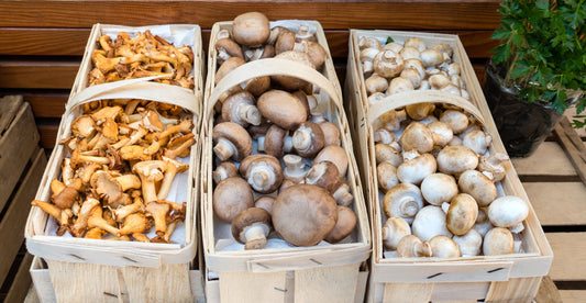 mushrooms at a store