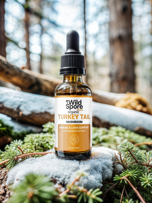 turkey tail tincture in forest