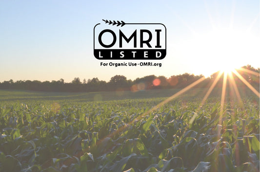 Why I Choose OMRI-Certified Substrate for My Mushroom Growing (And Why You Should Too)