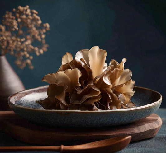 wood ear fungus