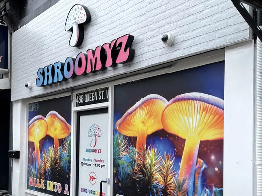 truck runs into mushroom dispensary