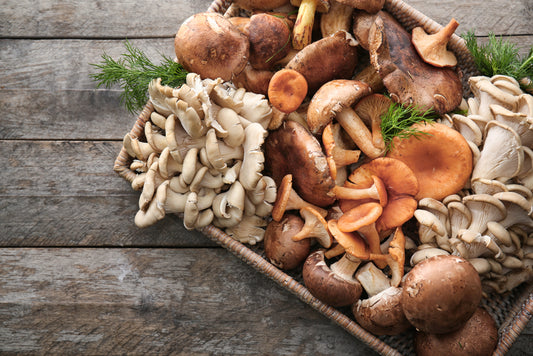 Unleashing the Power of Mushrooms: Unveiling Their Remarkable Health Benefits