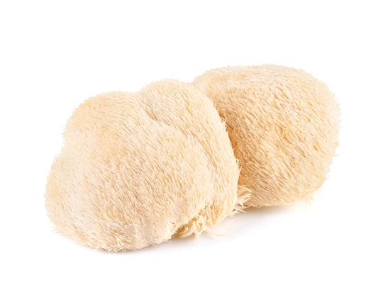 Unlocking the Magic: A Comprehensive Guide to Growing Lion's Mane Mushrooms