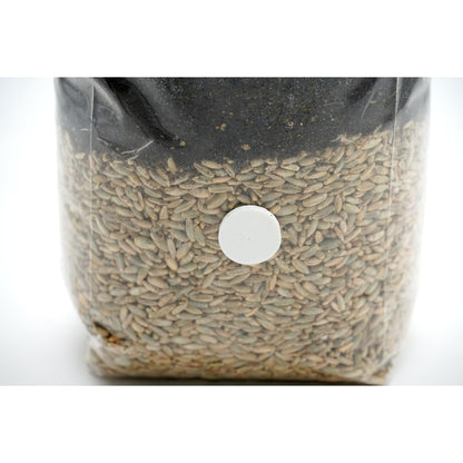 All in one CVG grow bag with injection port