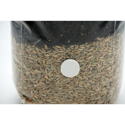 All in one CVG grow bag with injection port