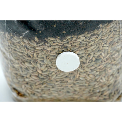 All in one CVG grow bag with injection port