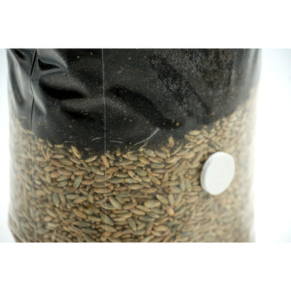All in one CVG grow bag with injection port
