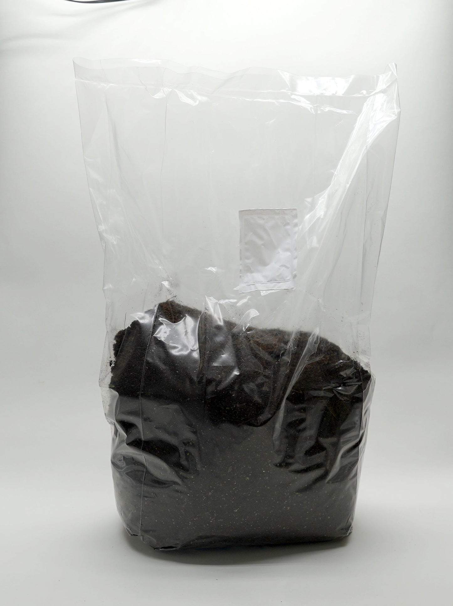 dung loving mushroom grow bags