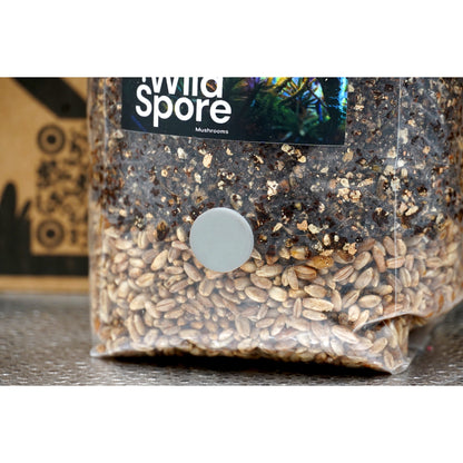 All in one CVG grow bag with injection port
