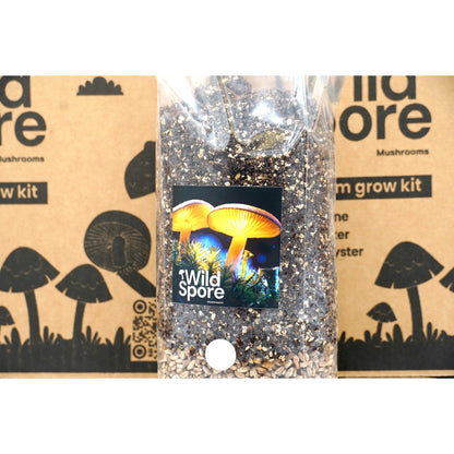 All in one CVG grow bag with injection port