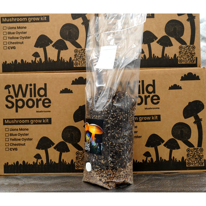 All in one CVG grow bag with injection port