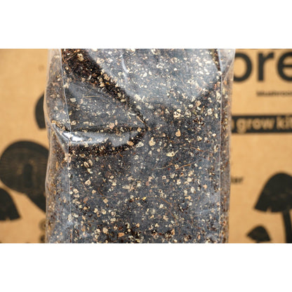 All in one CVG grow bag with injection port