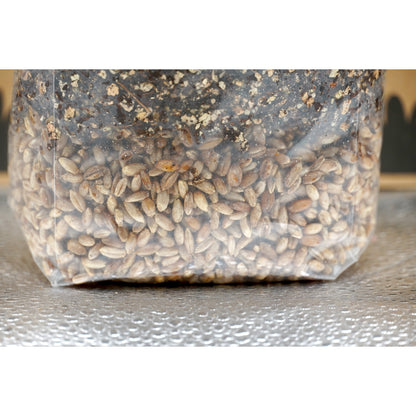 All in one CVG grow bag with injection port