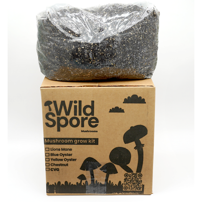 cvg mushroom grow kit